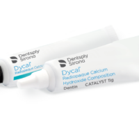 Dentsply Dycal Calcium Hydroxide (24g)