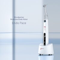 Woodpecker Endo Pace Brushless Endomotor