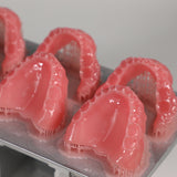 PioNext Denture base resin
