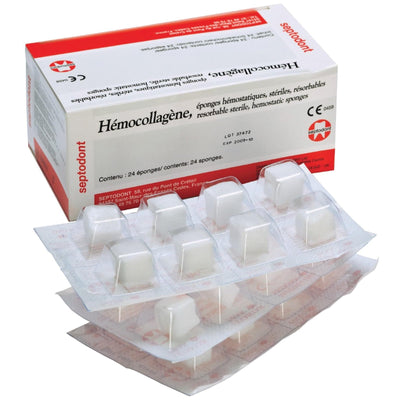 Collagen Sponge