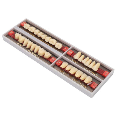 Acrylic Teeth Sheet