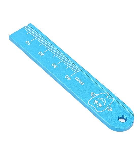 Endo Ruler